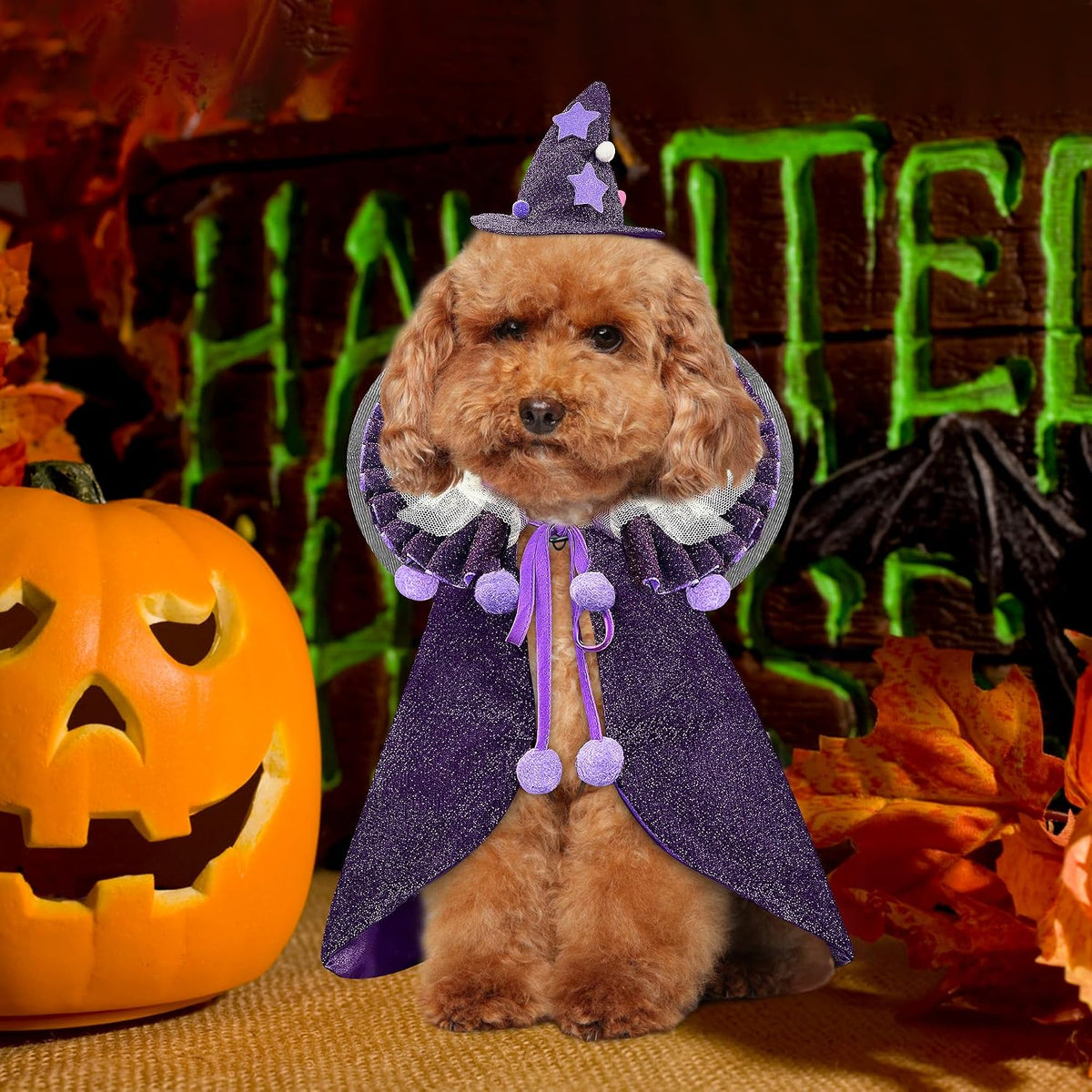 Pet Halloween Costume with Hat, Dog Clothes Cosplay Wizard Cloak for Small Puppy Kitten Animal, Shiny Cat Outfit Suit for Party Holiday Christmas, Purple