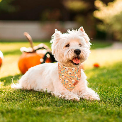 Halloween Dog Bandana, Skeleton Pumpkin Halloween Dog Scarf, Small