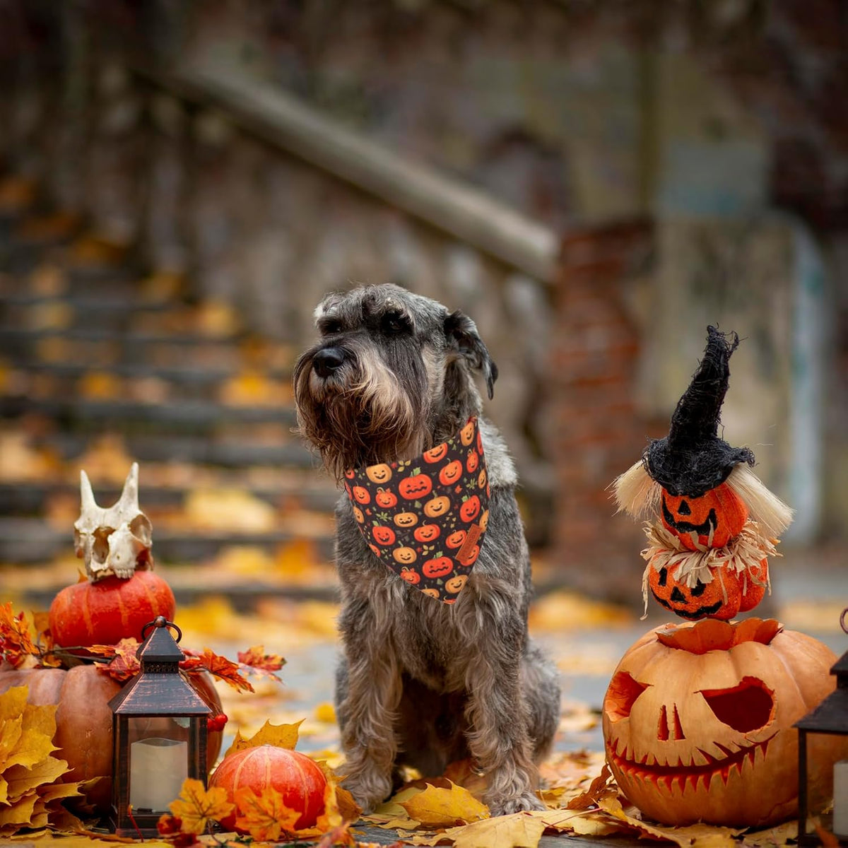 Halloween Dog Bandana, Skeleton Pumpkin Halloween Dog Scarf, Small