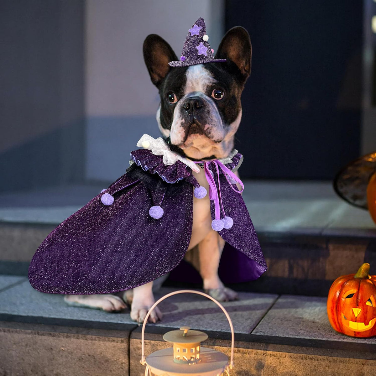 Pet Halloween Costume with Hat, Dog Clothes Cosplay Wizard Cloak for Small Puppy Kitten Animal, Shiny Cat Outfit Suit for Party Holiday Christmas, Purple